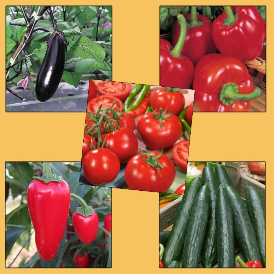 Greenhouse Starter Pack