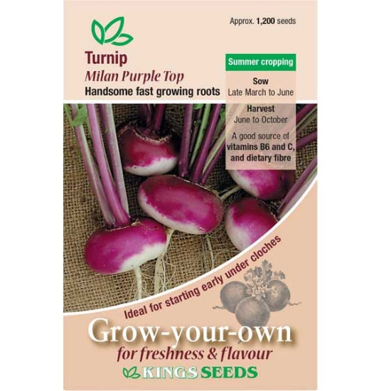 Turnip Milan Purple Top