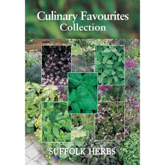 Culinary Favourites Herb Collection Pack