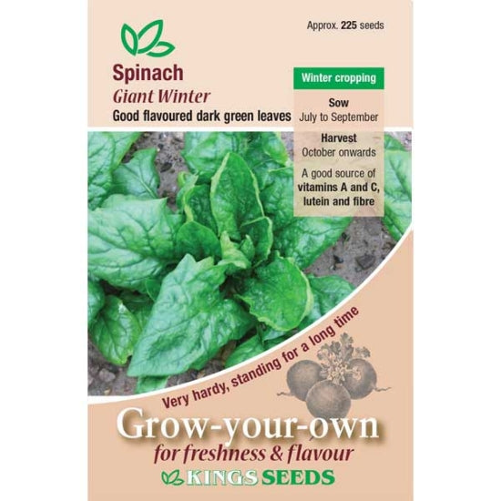 Spinach Giant Winter