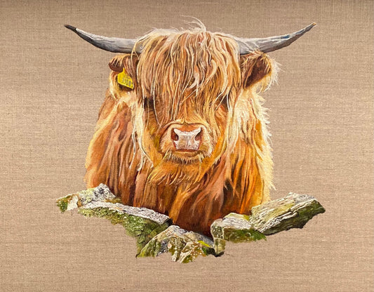 Highland Cow Study Oil Painting on Linen Canvas Print