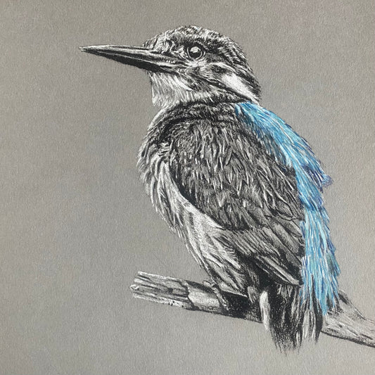 KingFisher Resting Print by Chris Birks